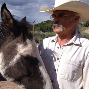 Horse Physical Therapy